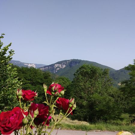 Au Chalet D'Anna Saint-Rambert-en-Bugey Dış mekan fotoğraf