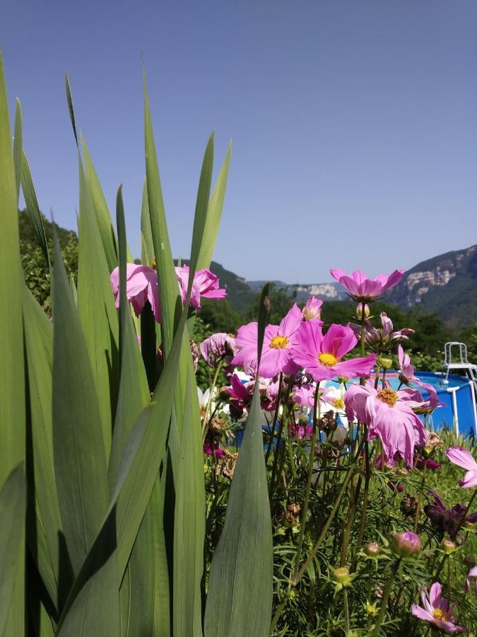 Au Chalet D'Anna Saint-Rambert-en-Bugey Dış mekan fotoğraf