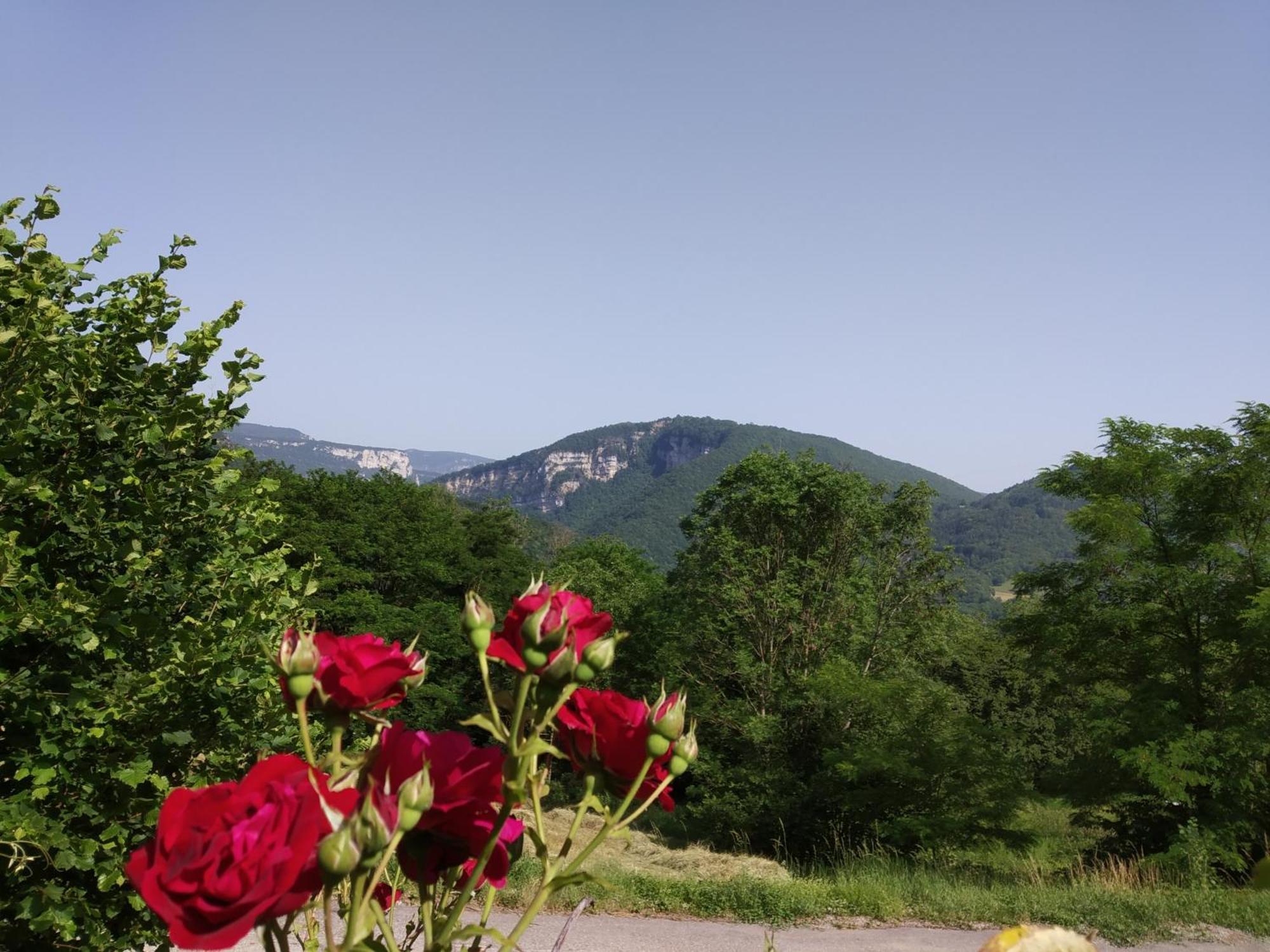 Au Chalet D'Anna Saint-Rambert-en-Bugey Dış mekan fotoğraf