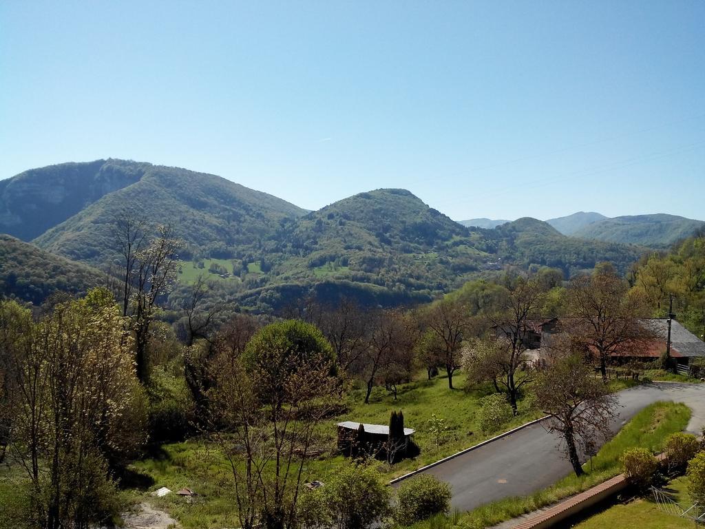 Au Chalet D'Anna Saint-Rambert-en-Bugey Dış mekan fotoğraf