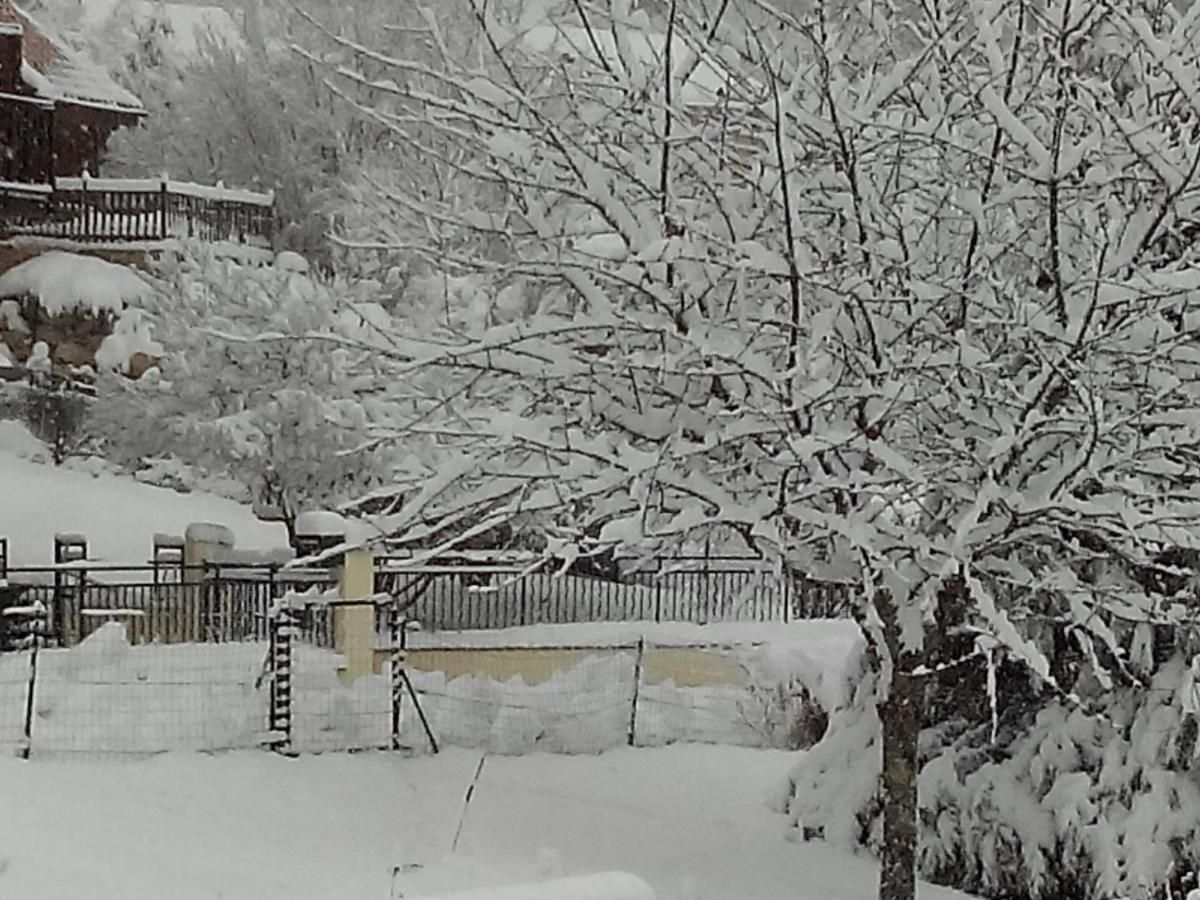 Au Chalet D'Anna Saint-Rambert-en-Bugey Dış mekan fotoğraf