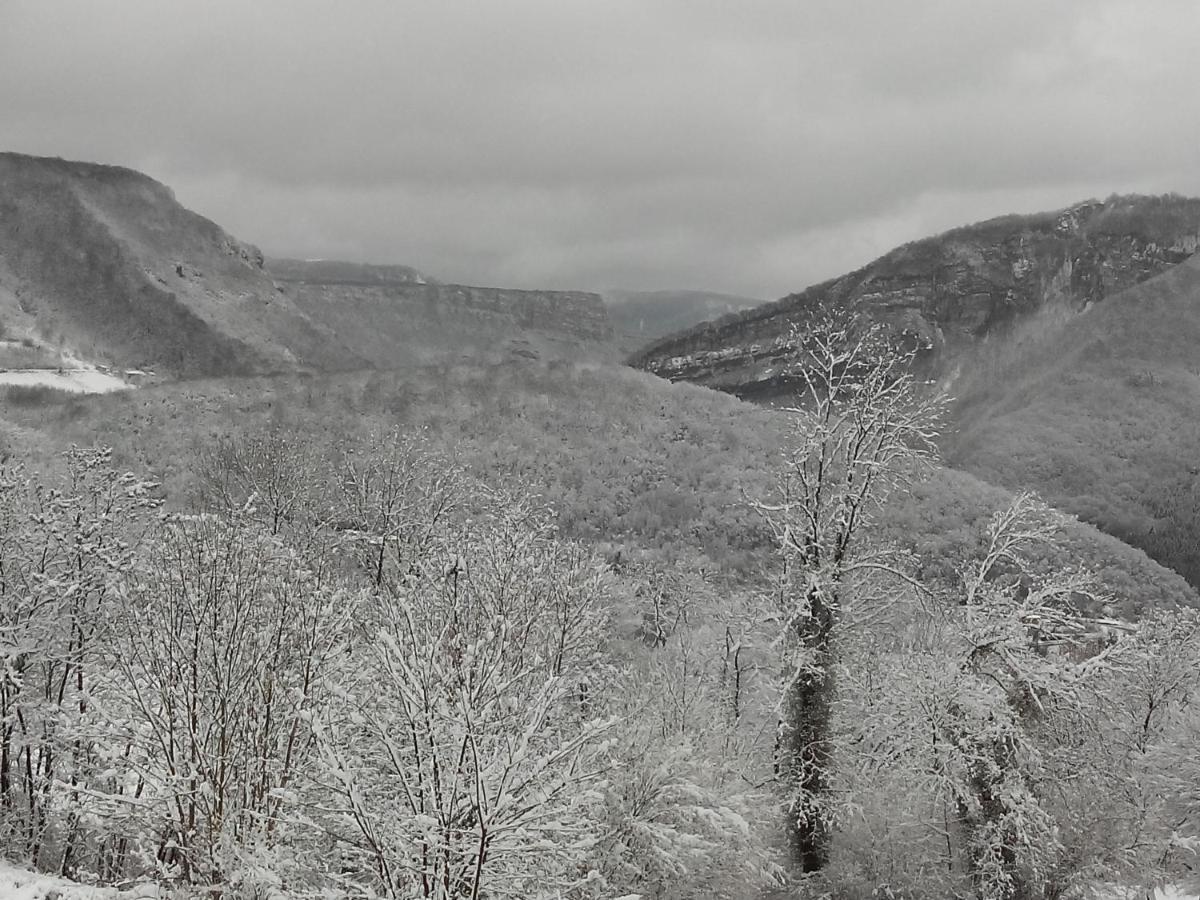 Au Chalet D'Anna Saint-Rambert-en-Bugey Dış mekan fotoğraf